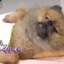 오쏠