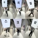 귀족호랑이 이미지