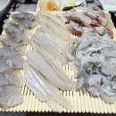 해랑회물회
