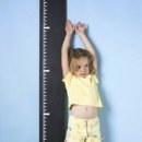 대성 합기도장 이미지