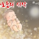 ■ 새로움의 시작 / 따뜻한 하루[469]■ 새로움의 시작 이미지