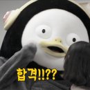 리얼식단 - 거제시 고현항로 38 | 리얼식단