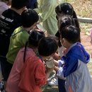 신나는체험학교 이미지