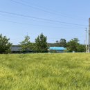 상시동1리 이미지