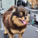 모량농장 이미지