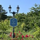 빌라드루이 이미지