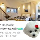 살롱 드 방동 이미지