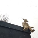 꼼지락이야기