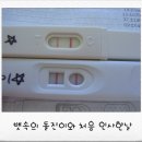 피아체헤어 | 피아체 만삭 촬영후기