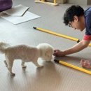 올바로 교육문화센터 이미지