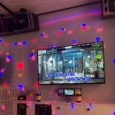 에버스타 코인 노래연습장 이미지