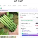 세국농장 | 6시내고향 홍보장사만만세 열무 농장 알아보기(포천편)