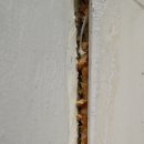 세영더조은 이미지