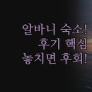 에이스홀 | 알바니 숙소 비교 | 솔직 후기 기반 힐튼 가든 인 에이스 펠리칸스 꿀팁