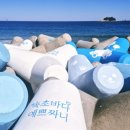 구정(속초) | 설연휴 속초 해안 산책 속초해수욕장에서 아바이마을까지 걷는 여행