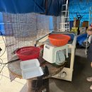 두리수산 왕새우 직판장 이미지