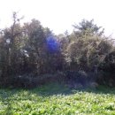 시흥리마을회관 이미지