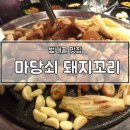 마당쇠돼지꼬리 이미지