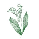 베스트플래너스 | [공지] 동행 웨딩플래너 추천) 르웨딩플랜 파워 J 계획형 정희수 실장입니다.