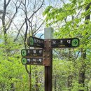 덕목리 쉼터 | 호남의 금강, 대둔산도립공원 (금남정맥 4구간 2021, 4, 24)