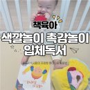 엄마와 아기곰 | 9개월 아기 색깔놀이 책 | 오감 자극 뇌 발달 놀이법 | 프뢰벨 영아다중 활용