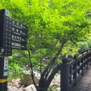 추성주차장 이미지