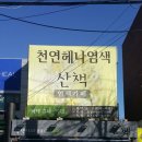 산책헤나