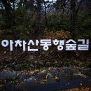 동행길 | 아차산 동행숲길 주말 산책기｜월요일 아침 마음을 가볍게 만든 감성 문구