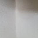 흰 지팡이의 꿈 Daum카페