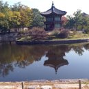 [초등 4~6학년]궁궐 이야기 이미지