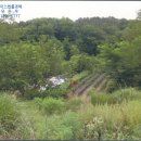 영덕야성초등학교 창포분교장 | [영덕군 영덕읍 토지(전)경매,급매,전세] 경상북도 영덕군 영덕읍 창포리 164. 2016타경10351 [더에이스]