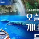 골드문투어 이미지