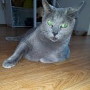 어느날그루밍 이미지