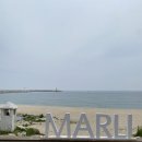 평해사구습지 이미지