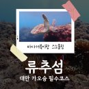 거북시장B(42136) | 대만 가오슝에 가서 이거 안 하면 손해?_소류구, 류추섬 바다거북이 스노쿨링
