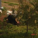 예우농장 이미지