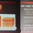 김동건피부과의원 이미지