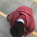 카페고주 이미지