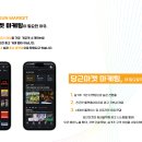 도진컴퍼니 네이버블로그
