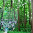홍일상사 이미지