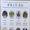 온가람 이미지