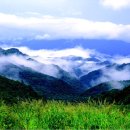 16~17일 산나물축제 체험 어때요~ 이미지