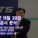 [2024.11.20] 한국 증시 테마주, 급등락주, 시총 상위 종목 분석
