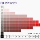 채도 이미지