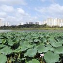 만석길농장 이미지