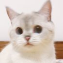 상상이상 이미지