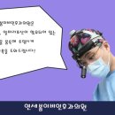 장기연세이비인후과의원 네이버블로그
