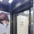 강남 미용실 추천 기장 추가 없는 미용실 클리닉 디탐헤어 강남역점