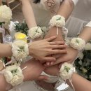 가지마 김송이 😭