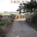 서귀포 대정읍 상모리 중장기 투자용 토지 - 제주도 토지 제주 토지 이미지